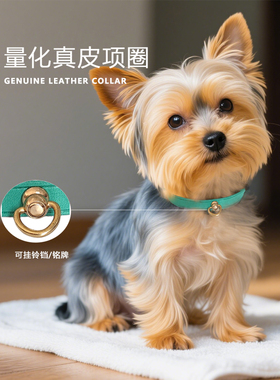 真牛皮可爱猫咪项圈小狗狗防丢脖圈幼犬可戴铃铛超小体可调节颈圈