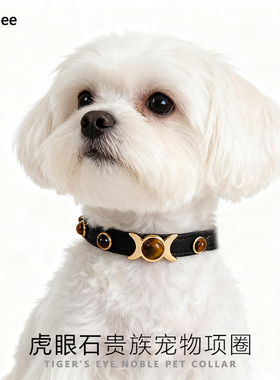 高颜值虎眼石小狗狗猫咪项圈泰迪柯基中小型犬可牵引狗脖圈颈圈