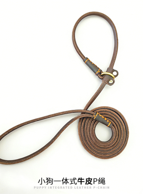 牛皮小狗专用一体式p绳遛狗牵引绳户外防爆冲项圈小型犬泰迪训犬