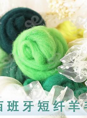 Am-Ge西班牙短纤青绿色系羊毛条羊毛毡戳戳乐工具手工diy材料5g