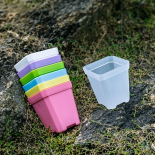 多肉小方盆加厚塑料黑白蓝绿黄粉红色透明幼儿园花盆实验室育苗盆