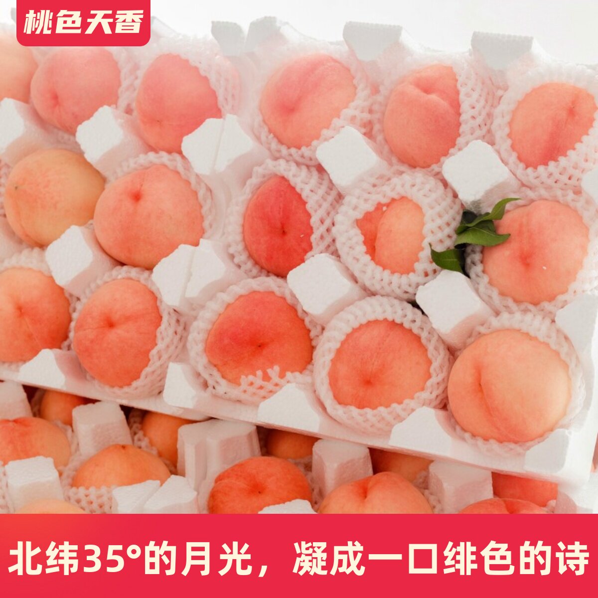 现摘新鲜水蜜桃10斤软甜汁新鲜孕妇水果大毛脆桃子红血桃农家整箱