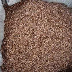 怀来八棱海棠种子嫁接苹果树专用海棠子山丁子籽产地直发保质保量