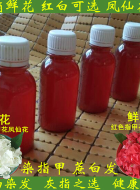 鲜染指甲花指甲草凤仙花红色白色涂抹液小桃红凤仙花粉染发遮白发