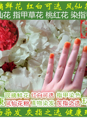 白凤仙花新鲜染指甲花桃红红色指甲草花凤仙花粉现摘新鲜花瓣染甲