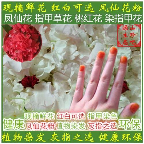 白凤仙花新鲜染指甲花桃红花红色