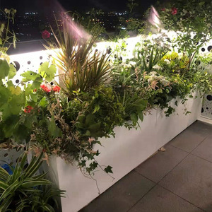 长方形绿植简约桌面水泥花盆特大号镁泥广场花箱花槽道路围墙隔断