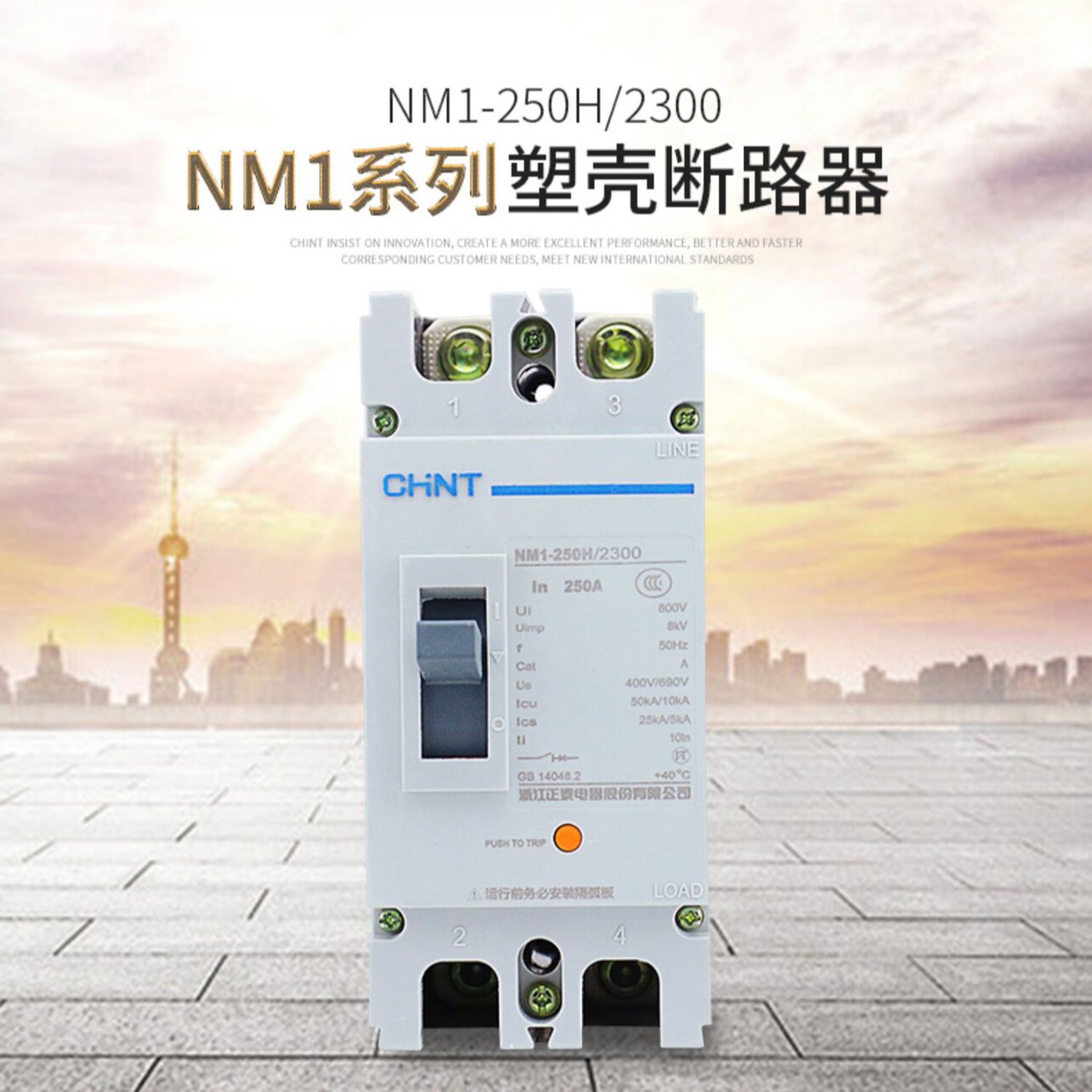 正泰 塑壳断路器NM1-250S/2300 250A200A 160A 100A63A2P单相空开