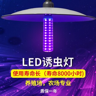 太阳能诱虫灯黑光灯鱼塘养殖牛蛙蟾蜍引虫灯果园农用杀虫灯吸虫灯