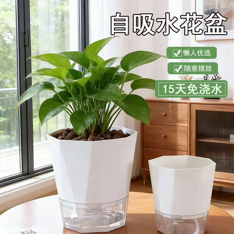 懒人自吸水花盆水培植物器皿绿萝专用线吸吸水盆自动塑料盆栽大号