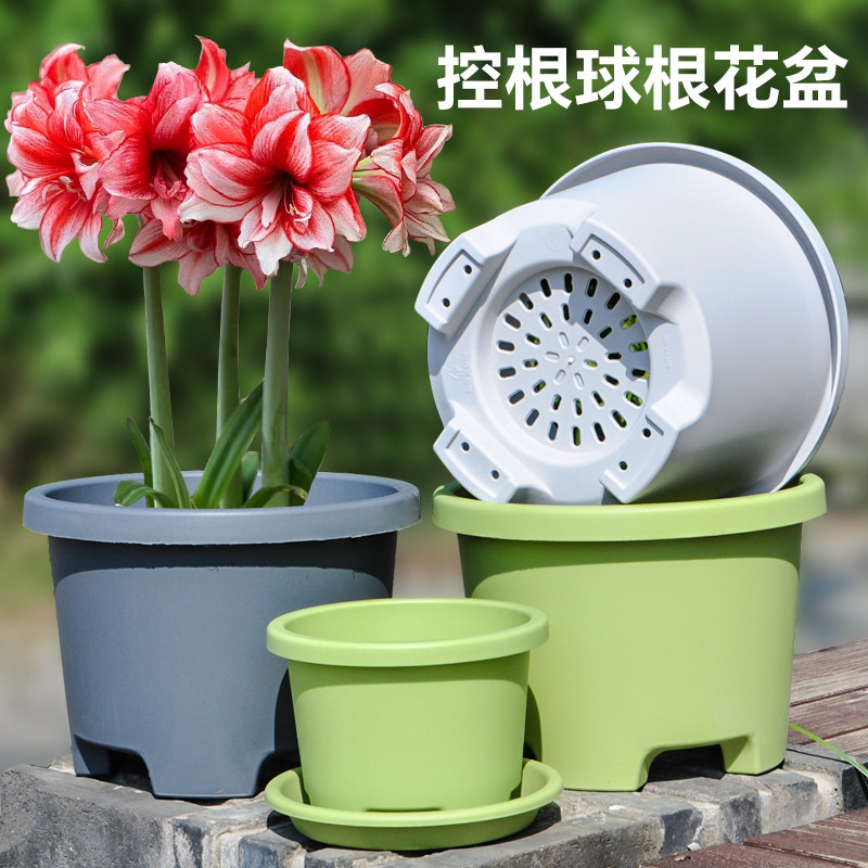 树脂加厚花盆塑料种球盆栽百合郁金香铃兰专用透气控根高档托盘图片