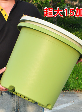 超大号口径树脂加厚花盆塑料6/7/15/25加仑盆耐用种果树月季大苗