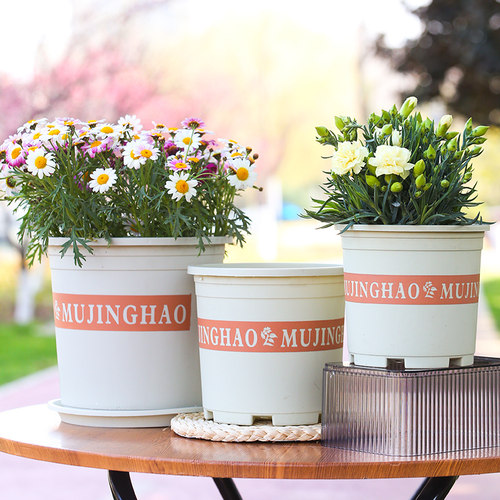 pp树脂全新料简约厂家直销