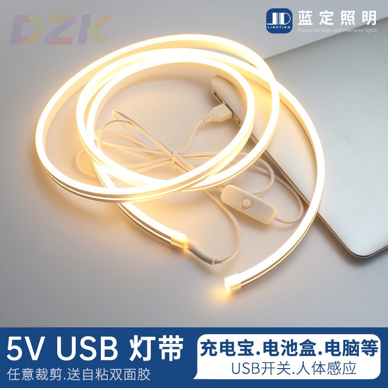 led灯带5v低压超亮电池款不插电usb柔性霓虹硅胶氛围软灯条.1