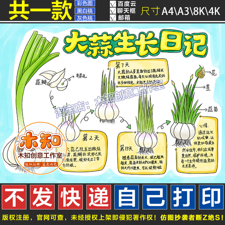 841自然笔记大蒜观察日记手抄报模板小学生记录植物生长成长蒜苗