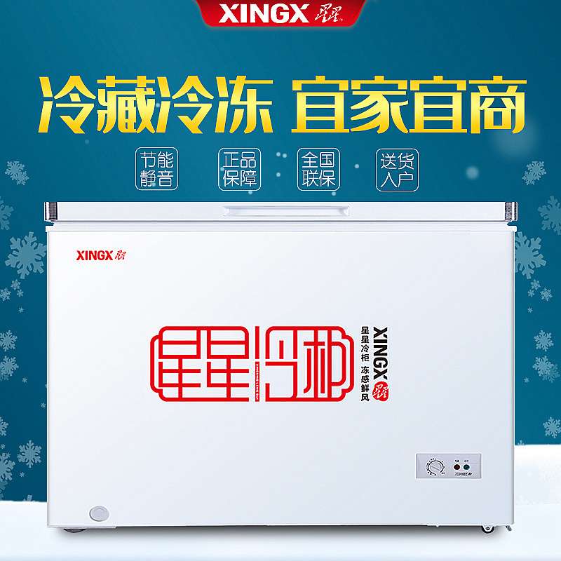 星星冷柜单温一级冷藏冷冻转换柜商用超市冰柜顶开门家用单门式