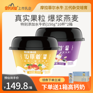 皇氏乳业饭不着爆浆燕麦酸奶150g 2箱 添加水牛奶可代餐酸奶 10杯