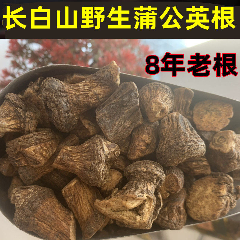 蒲公英根正品特级野生婆婆丁根泡水喝浦公英甫公英簿公英跟莆公英