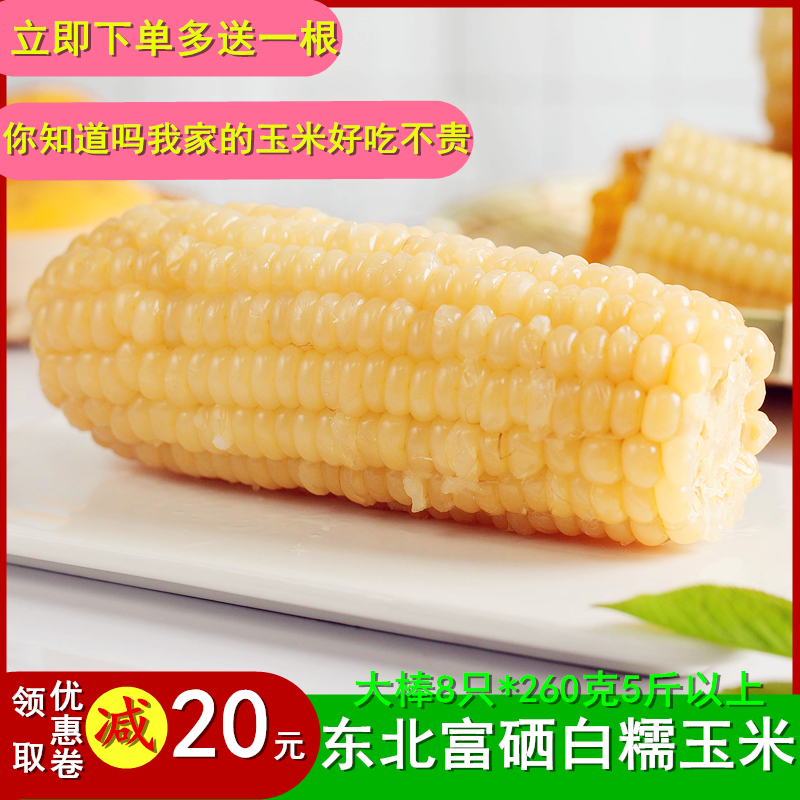 富硒东北甜糯白粘玉米棒非即食黏嫩苞米8支真空袋装新鲜代早餐