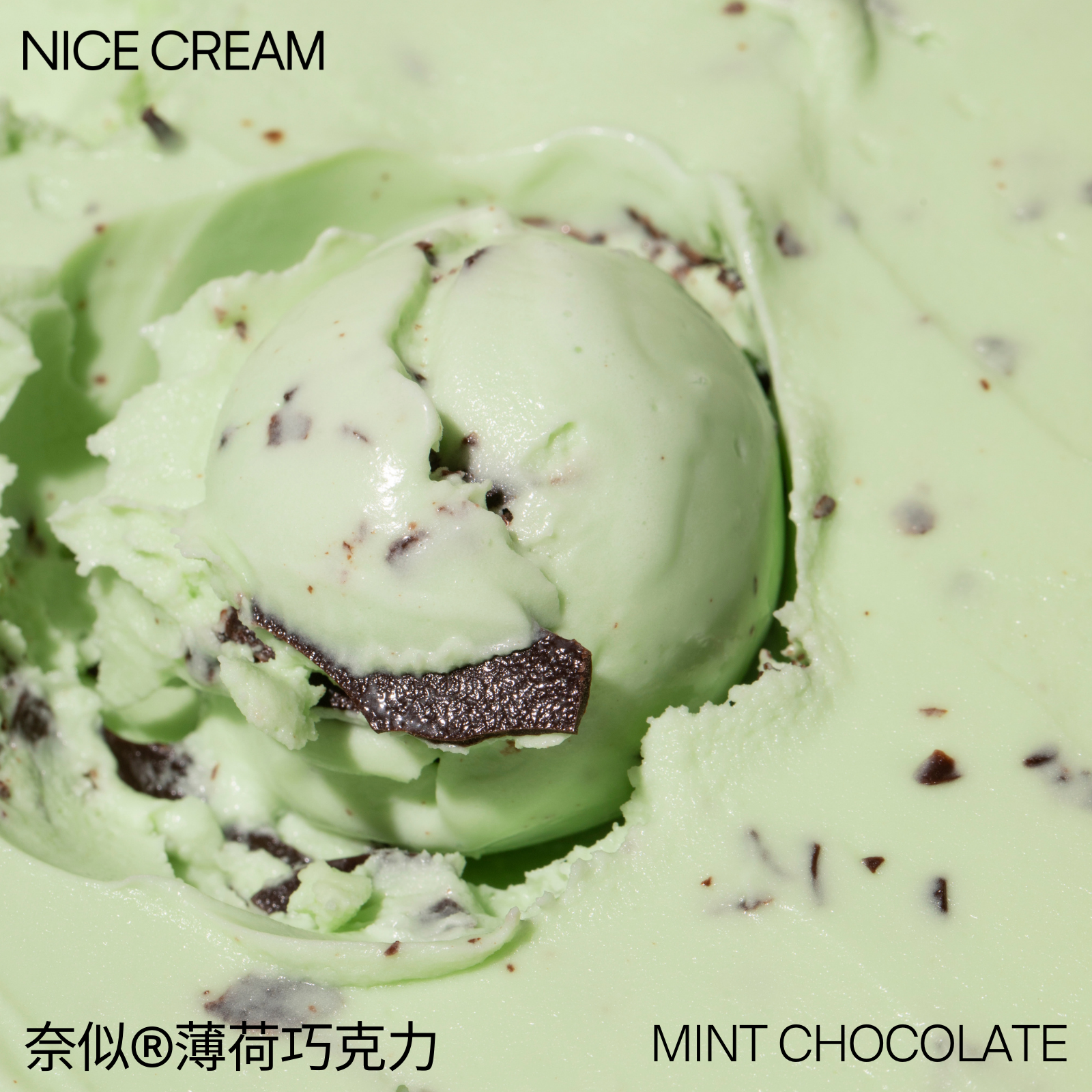 奈似 nice cream 薄荷巧克力份盆 朗姆葡萄干 焦糖海盐 3kg/盒