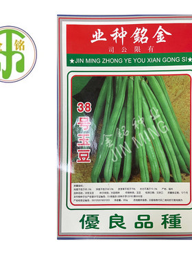 泰国38号玉豆豆角蔬菜种子孑基地大田农作物种子
