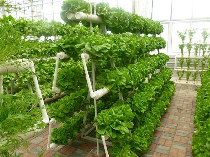 家庭阳台蔬菜水培柱子柱式无土栽培法设备管道式种菜机多层种植架