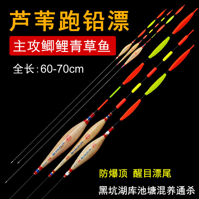 芦苇跑铅漂飞漂自立电子漂加粗醒目加长夜光漂抗走浮漂垂钓直销款