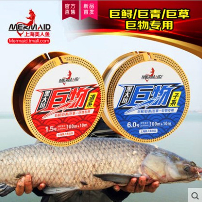 黑大坑上海钓鱼线