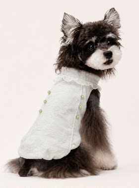 薄荷绿珍珠泡泡裙雪纳瑞纯棉衣服泰迪比熊狗狗衣服