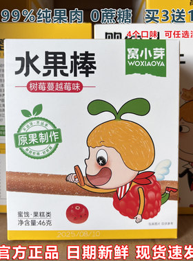 窝小芽水果棒零食水果条