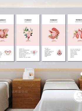 医疗机构骨盆子宫外阴解剖学墙壁挂画整形医院美容院产康店装饰画