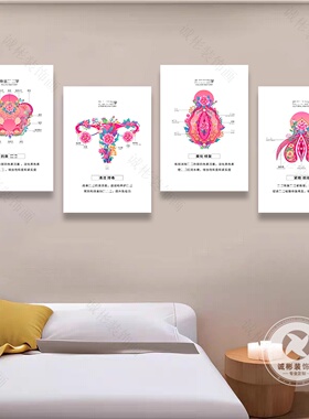 女性生殖解剖学挂画美容院月子中心妇产科背景墙面装饰画私密艺术