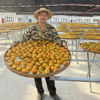 电视同款压缩海带丝凉拌下饭菜