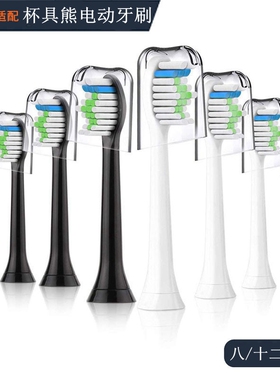 家家选电动牙刷头适用卡通beddy bear韩国杯具熊声波成人替换儿童