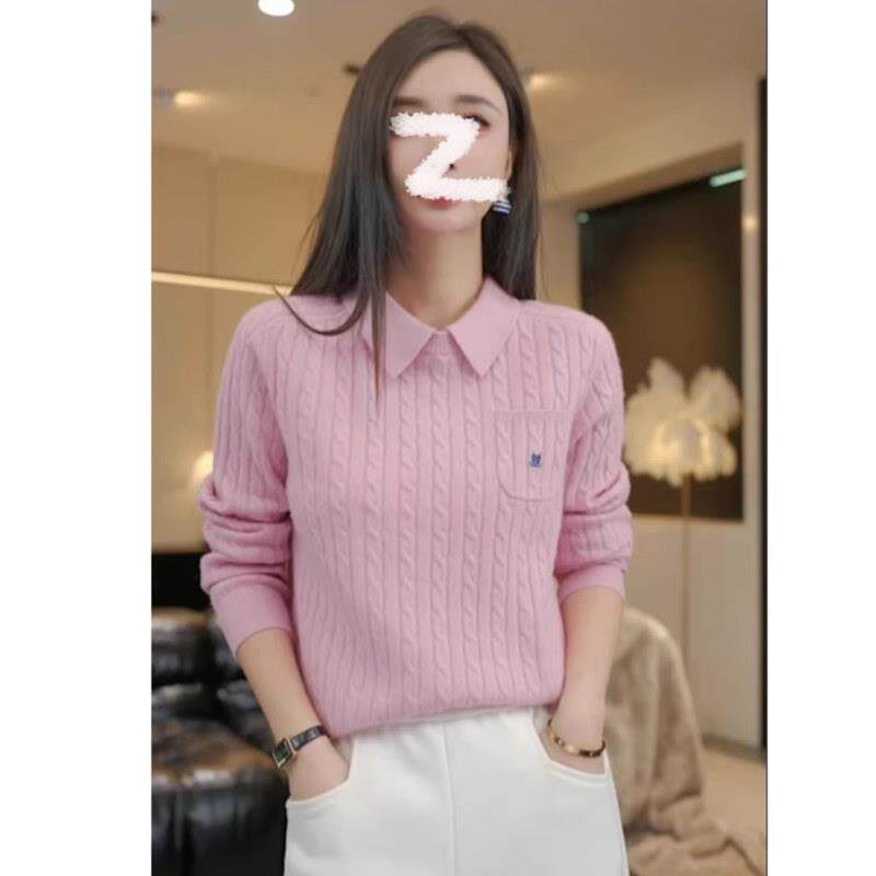 韩系刺绣polo领麻花针织衫女秋冬装设计感百搭假两件毛衣内搭上衣
