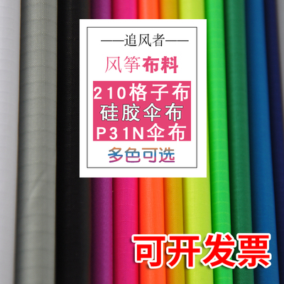 追风者p31n硅胶各种多颜色风筝