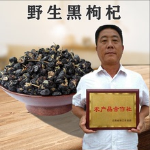 黑枸杞子茶野生正品 天然非特级正宗干构纪非宁夏肾苟几构纪500g