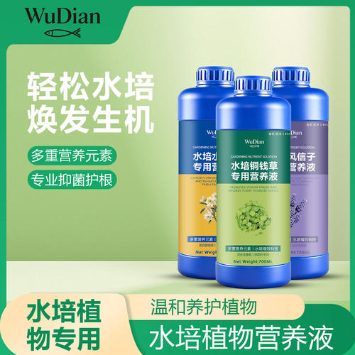 水培富贵竹观音竹通用营养液