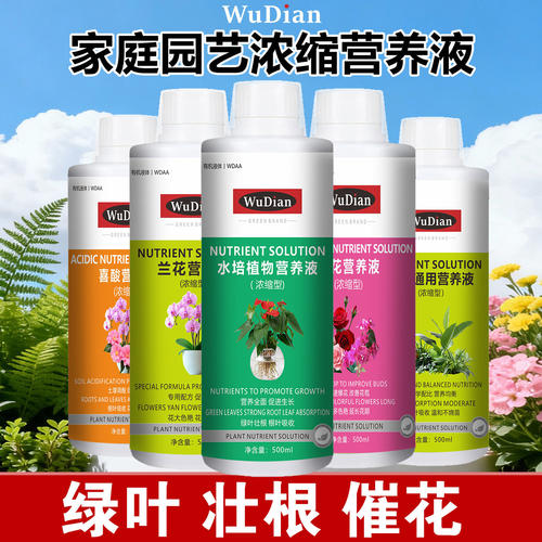 植物通用花卉盆栽绿叶兰花水培肥