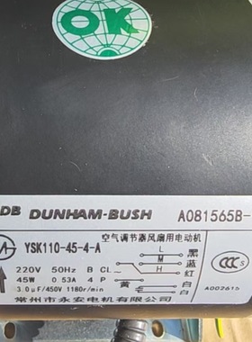 DUNHAM - BUSH电动机YSK110-45-4-A马达原厂原装常州市永安电机
