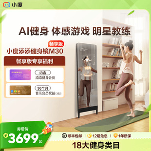 小度添添健身镜M30 S40魔镜ai全身镜运动瑜伽 官方旗舰店