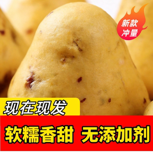 玉米红枣窝窝头软糯香甜包点无添加剂现做现发早餐糕点粗粮馒头