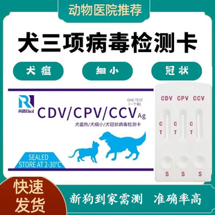 狗瘟细小冠状试纸快速检测卡CDV犬瘟测试纸CPV CCV幼犬狗瘟检测卡