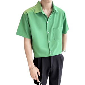 夏季薄款青年男生短袖衬衫轻熟风抖音直播高品质纯上衣8821-P58图片