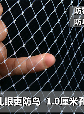 农用果树防鸟网用网护网防鸟线网隔离的丝网防鸟罩小孔菜地围网子