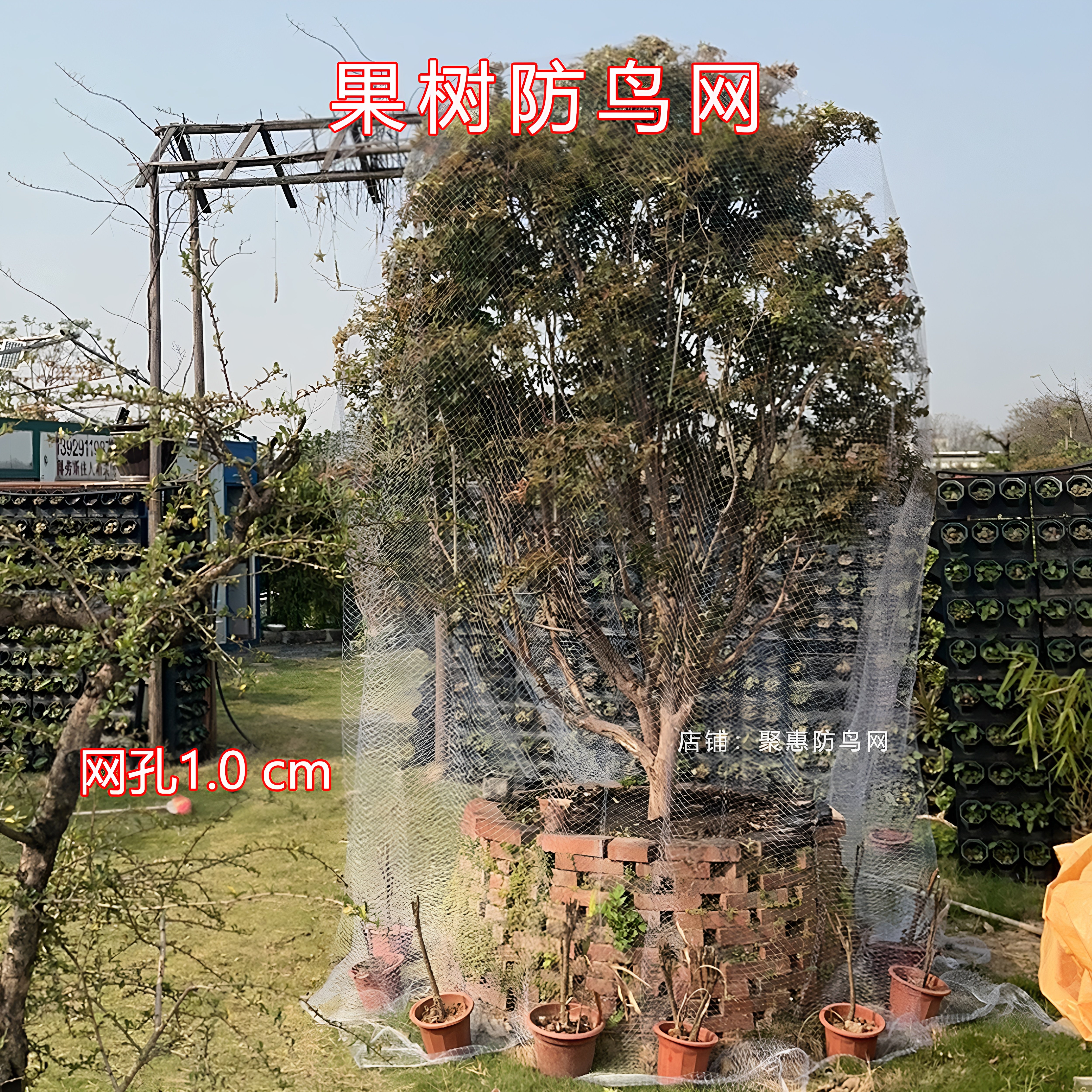果树防护网罩小孔农用尼龙网果园网嘉宝果防鸟菜地桃树网子葡萄