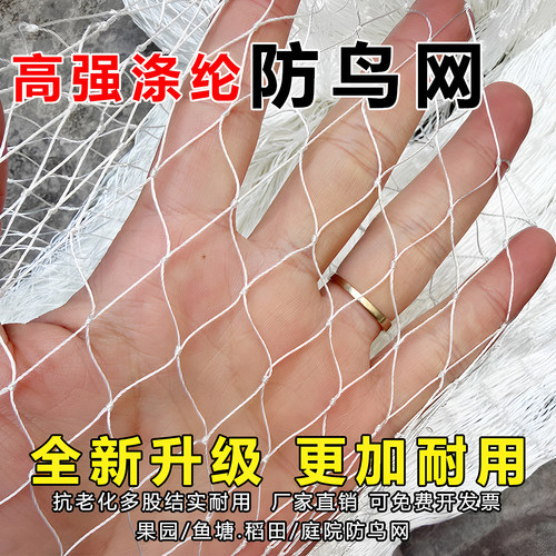 高强涤纶防鸟网果园大棚鱼塘防护