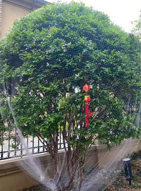 果树防鸟用的网农用防鸟丝网果园天网嘉宝果树防鸟罩阳台防鸟网子