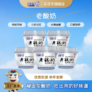花花牛官方旗舰店老酸奶 河南特产老酸奶风味酸牛发酵乳145g*12杯