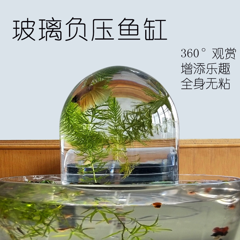 玻璃负压鱼缸生态瓶造景悬浮鱼缸水族箱补水器观赏鱼缸圆形负压缸